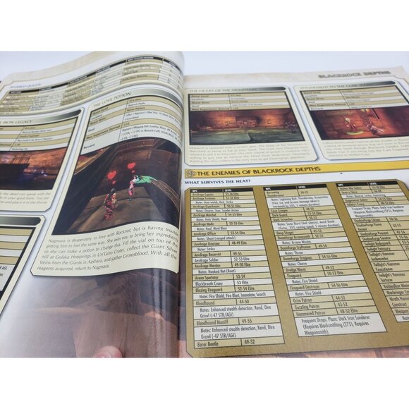 World Of Warcraft Dungeon Companion Strategy Guide 2006 - Picture 9 of 16